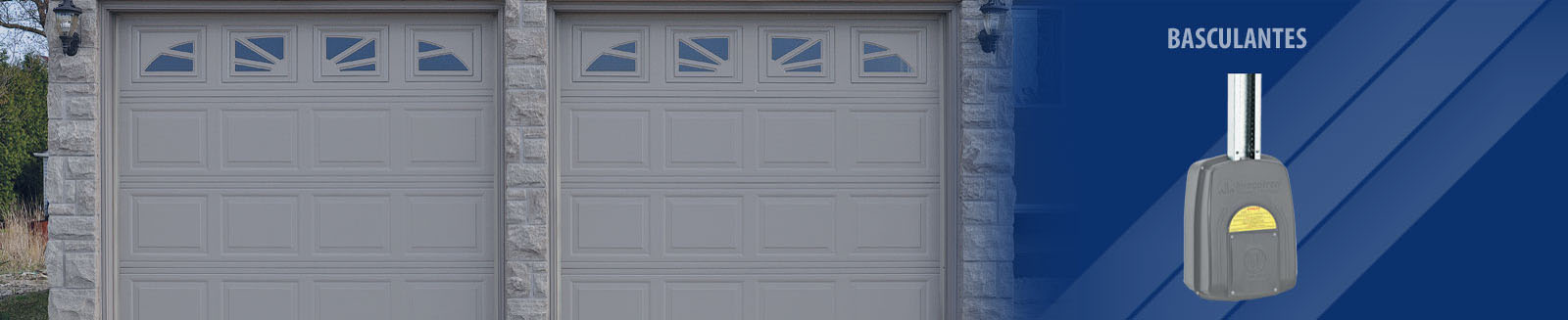 banner-novo2
