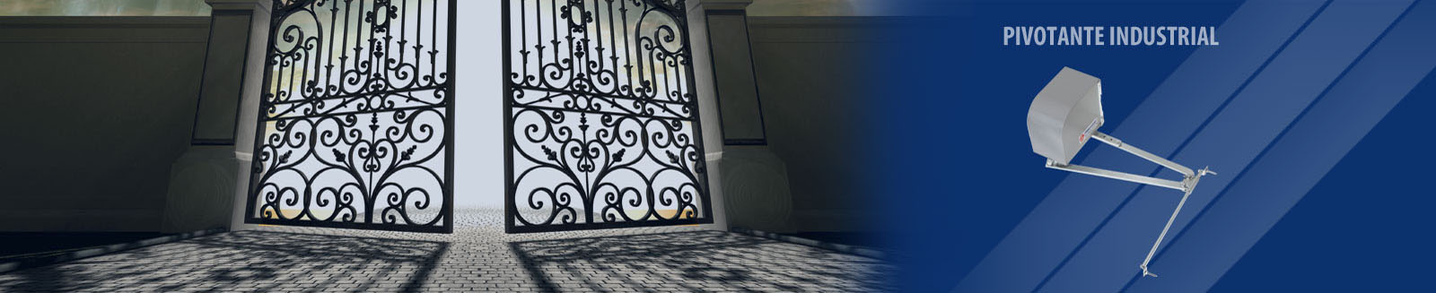 banner-novo5